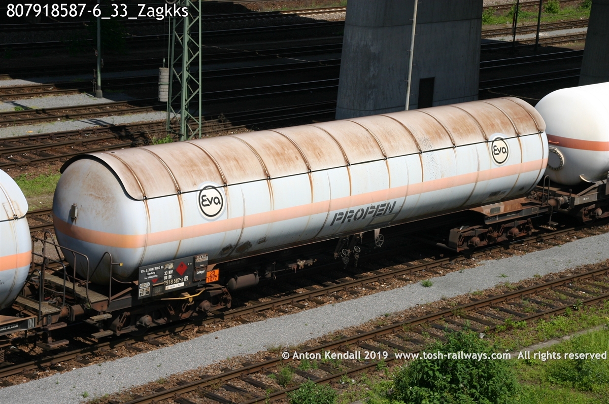 807918587-6_33_Zagkks.jpg